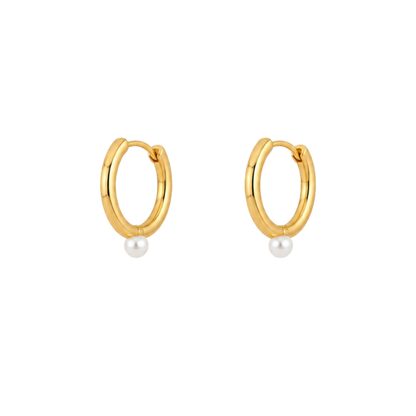 AROS CÉLIA ORO