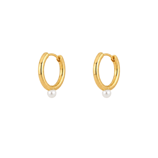 AROS CÉLIA ORO