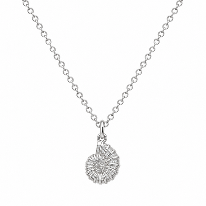 COLLAR CARACOL DE MAR 40CM PLATA